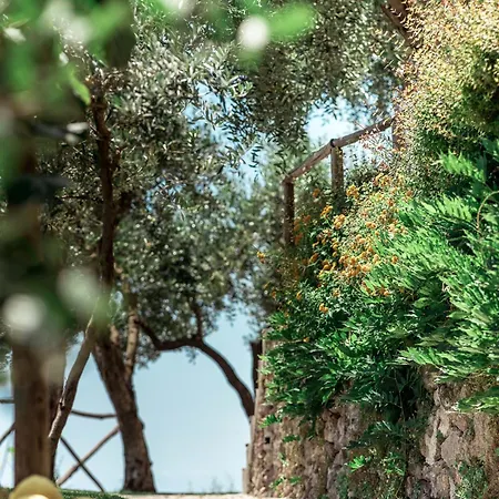 - Pittoresca Villa